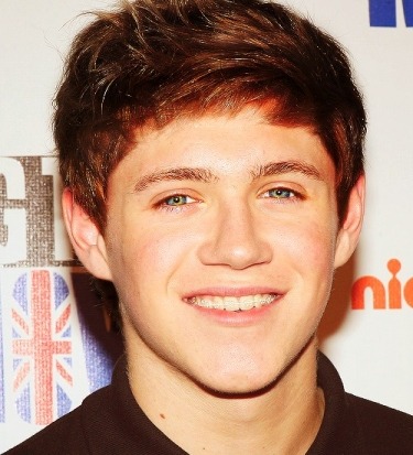 niall horan natural hair