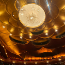 placeholders2024 - 