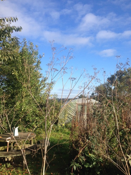 View towards Polstead, 26 September 2014