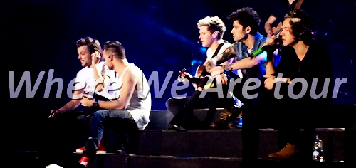 no-controls-blog:  One Direction tours 