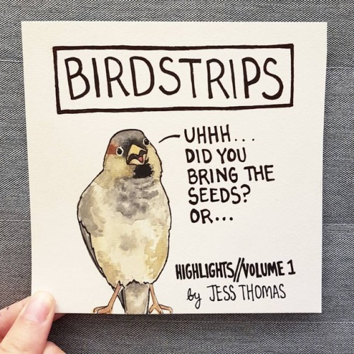 Bird no. 229. The Big Reveal!.This is my tentative cover for a little book of highlights! About 25 o