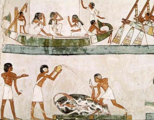 Sacrifice and purification of a bull, and a sailing ritual, from the Tomb of Menna, New Kingdom (wal