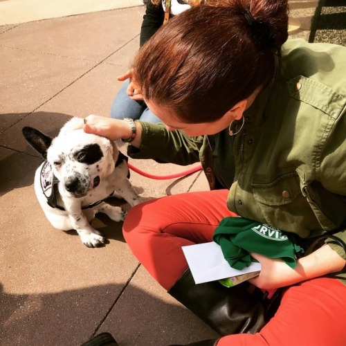 <p>@adamspickoftheday and I support @bonapartesretreat and their amazing work with all the good puppers and doggos. Today I got to meet Panda (pictured) and several other perfect and adoptable dogs that have been rescued by Bonaparte’s Retreat. They were hosting a meet and greet at @orvisnashville and they gave away delicious treats and handsome kerchiefs (#sirwinstoncup says thank you!) and @ashbyfrank and I had an awesome time meeting everyone. #adoptdontshop #theyreallgooddogsbrent #seniorpupsaturday #dogsimeetinnashville (at Orvis)</p>