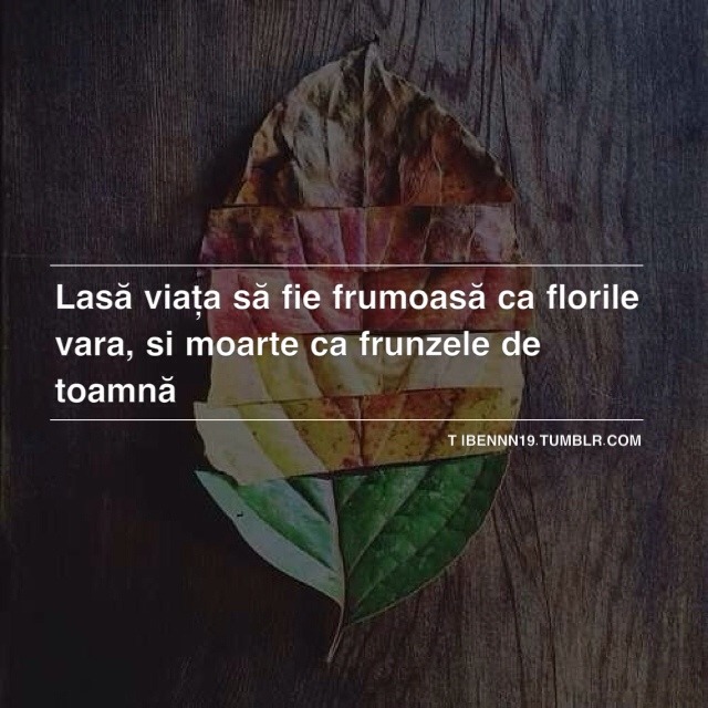 Adolescenţă. Tristeţe.Dezamăgiri