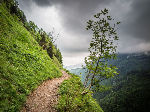 Appenzellerland by Peter Boehi