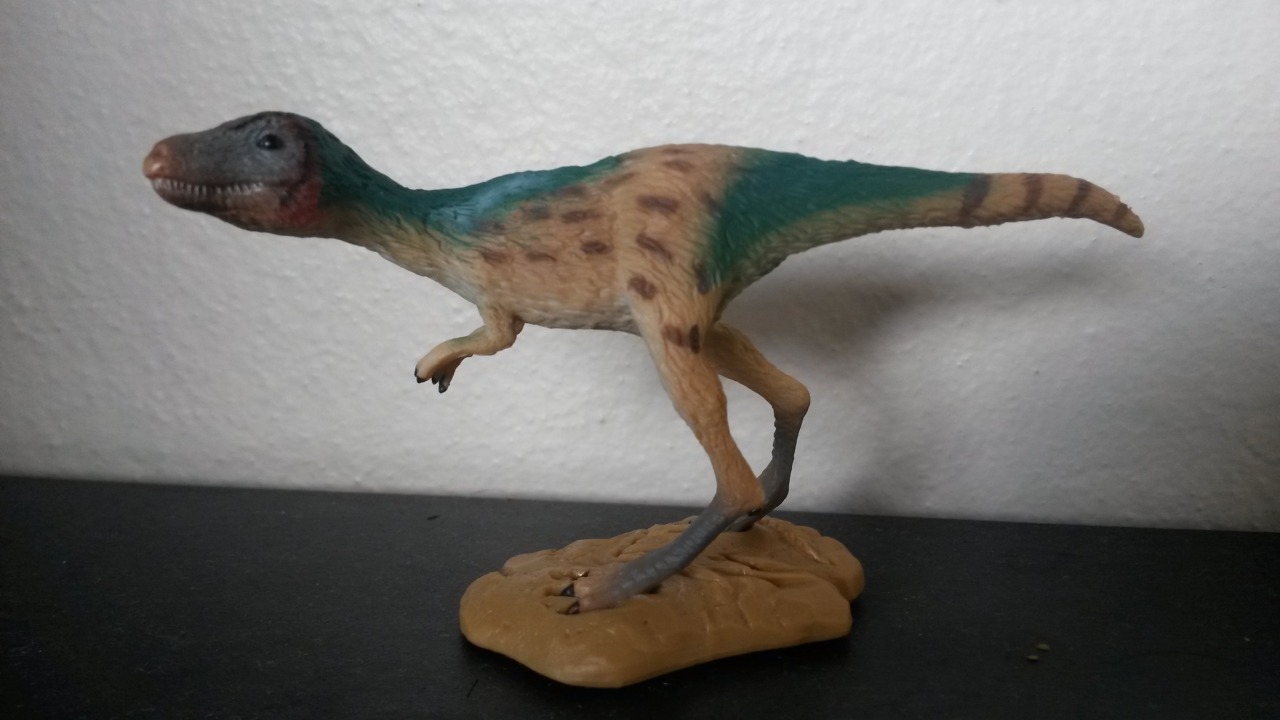 *NEW* CollectA 88697 Dinosaur Juvenile Tyrannosaurus Rex Model 9cm T-rex Trex 