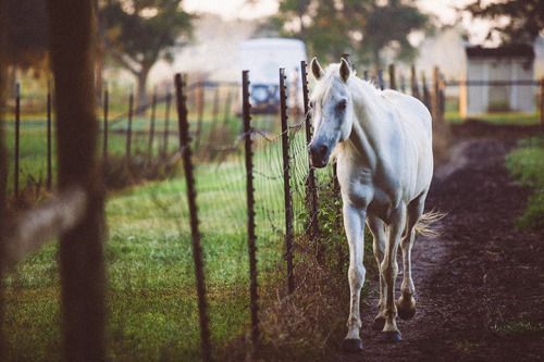 The Approach.
©2014 Katya Horner