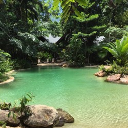 theadventurechild:  Jungle/tropical blog 