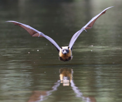 end0skeletal:  by Michael Cleary 