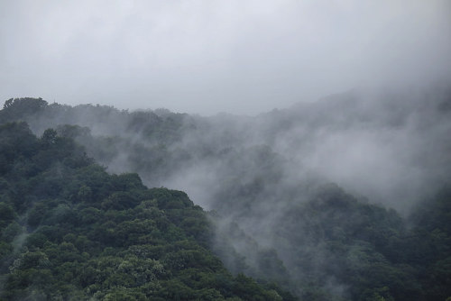 Misty Mountains by Ruroni Poru on Flickr.