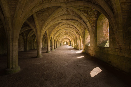 Fountains Abbey Cellarium by michael_d_beckwith Website : www.michaeldbeckwith.com Email : michael@m