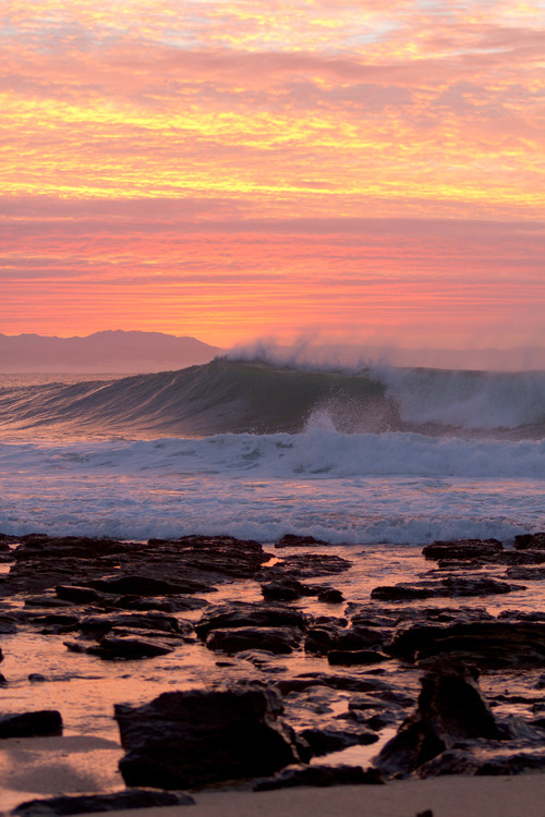 surf4living:  south african perfection ph: peter chamberlain