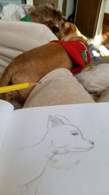 I was trying to sketch my dog free handedly,