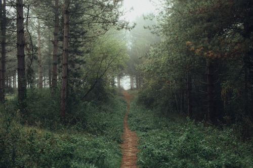 adambenhall:I am so stoked that Autumn and its misty cold mornings are finally here.