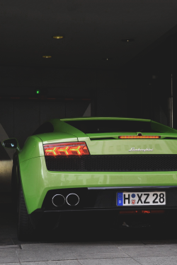 li0nized:   Verde | ©  