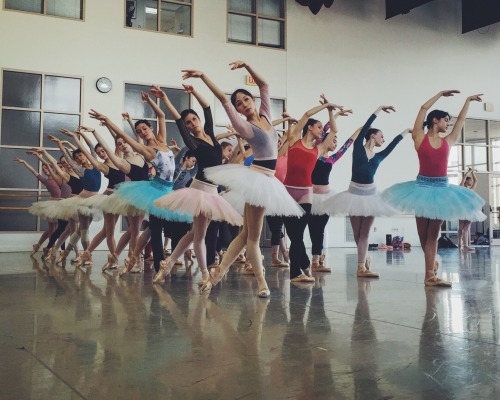 The sun is out and the swans are up. See the mesmerizing corps of swans at Boston Ballet’s Swan Lake