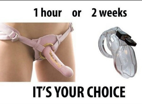 alwayshorny3145: I would choose an hour of pegging. I’m not sure I could do 2 weeks without an orgas