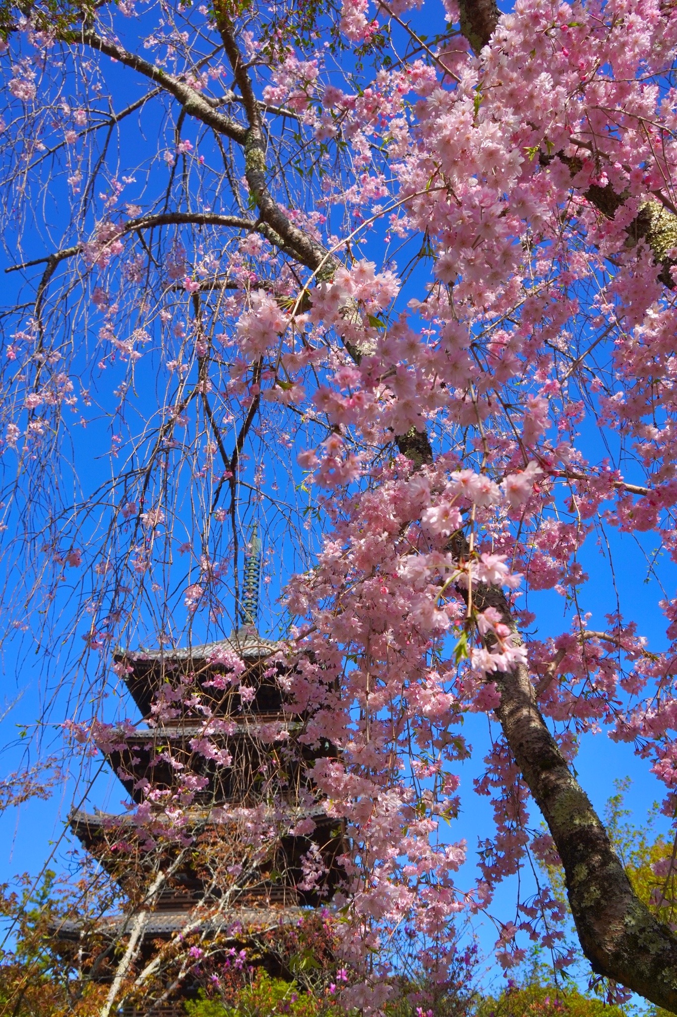 五和 Explore Tumblr Posts And Blogs Tumgir 五和 Explore Tumblr Posts And Blogs Tumgir