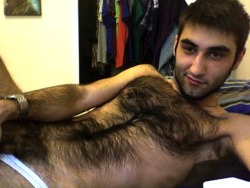 la4hairy:  deviantdaddy:  bears i want to bang 57  beautiful fur 