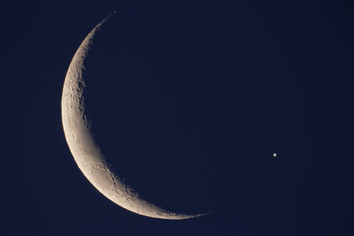 The Moon is lit by the golden colours of sunset and Venus is just about to get occulted disappearing