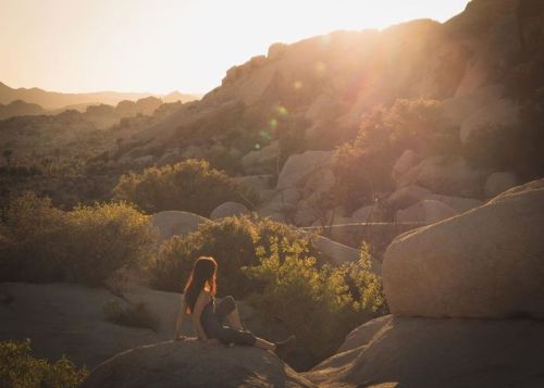 Desert dreaming. (Won’t be back to this desert, but Utah and Arizona in less than a week ) #joshutre