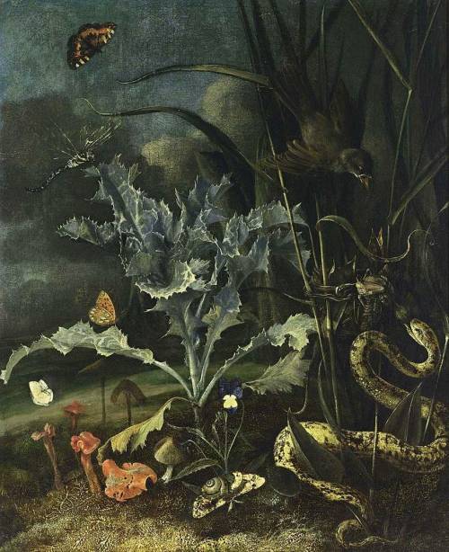 dronecowgirl: Otto Marseus van Schrieck, A Forest Floor Still-Life (1666)