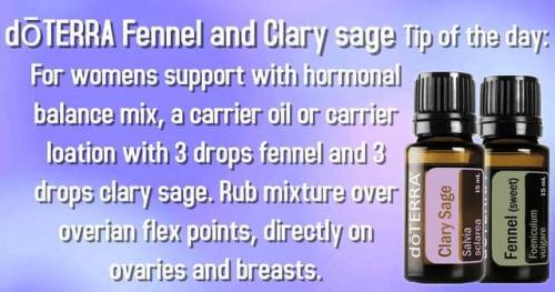 dōTERRA Fennel and Clary sage are key oils found in the womens blend: clary calm. They have multiple