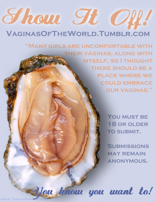 Porn vaginasofthe-world:  I would really appreciate photos