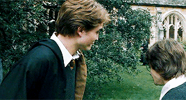 HarryPotterOnlines 10k Followers Celebration | Favorite Male Character - Cedric Diggory (8/10)