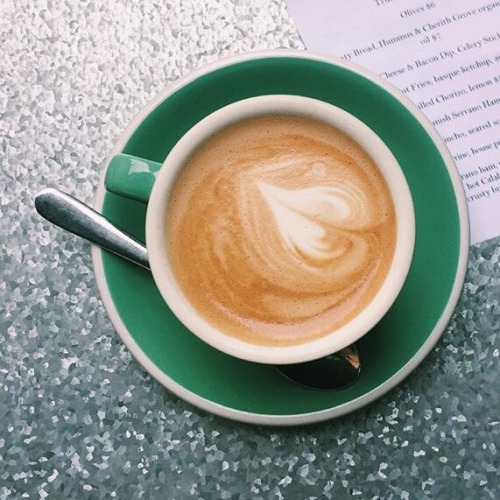 coffeeandshit:I really hope that I always love flowers as much as I do now☕️
