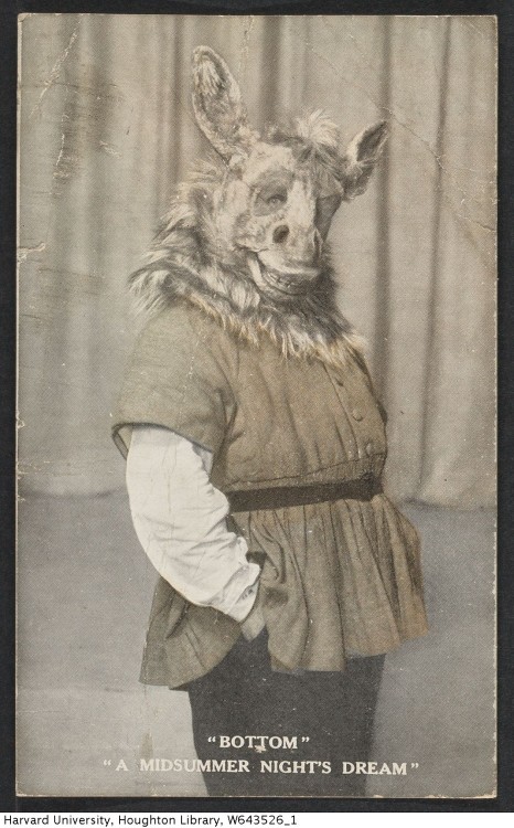Photograph of Ernest Cossart as Bottom in A Midsummer Night’s Dream. TCS 1.6013Houghton Librar