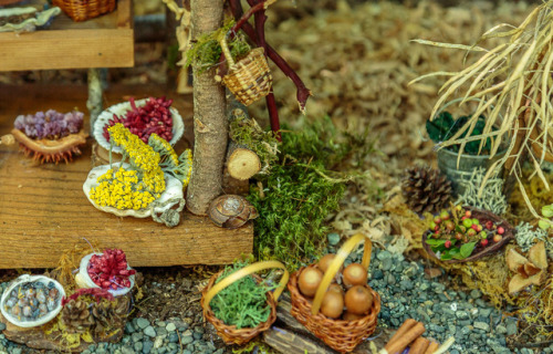 throughmonstrouseyes: The Fairy Market. At the Milner Gardens Fairy event, Qualicum Beach.   © Irene P., 2017.   