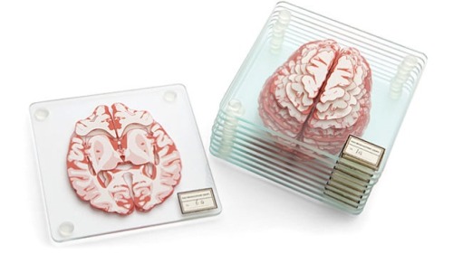 medicalstate:  Brain Specimen Coasters by ThinkGeek.