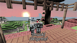 miguelangelrogel:  #apocalipsisminecraft2   besos 