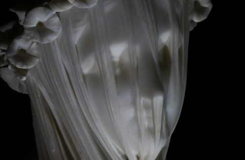xshayarsha:A Veiled Vestal Virgin, Raffaelle Monti.