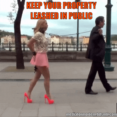 Which Of You, Gurls,is Ready For This Nice Walk?