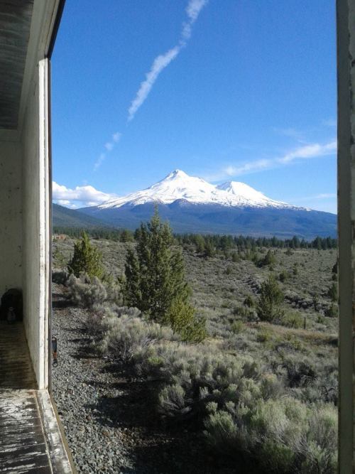 harmmassage: Mt. Shasta taken from an open boxcar, around the CA-OR borderlands. Sometime in June 20