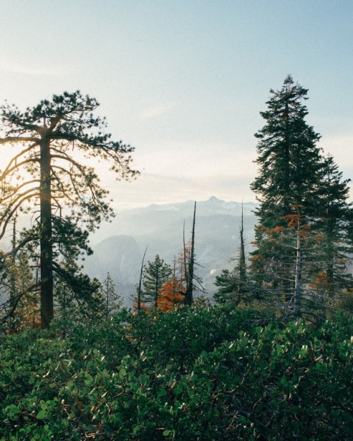 yosemite national park