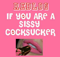 sharsissy:  feminization:  REBLOG if you are a sissy cocksucker!  Pink, proud, sissyboi cumslut. 