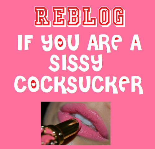 sharsissy: feminization:REBLOG if you are a sissy cocksucker!Pink, proud, sissyboi cumslut.