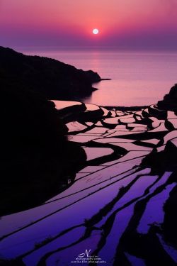 lifeisverybeautiful:  Ricefield, Saga, Japan by Junichi KatoRicefield