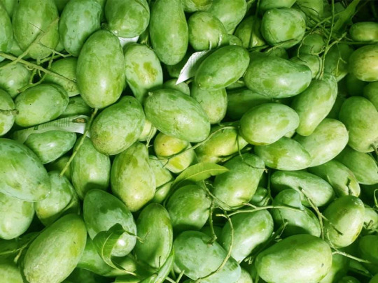 Green Amrapali Mango
