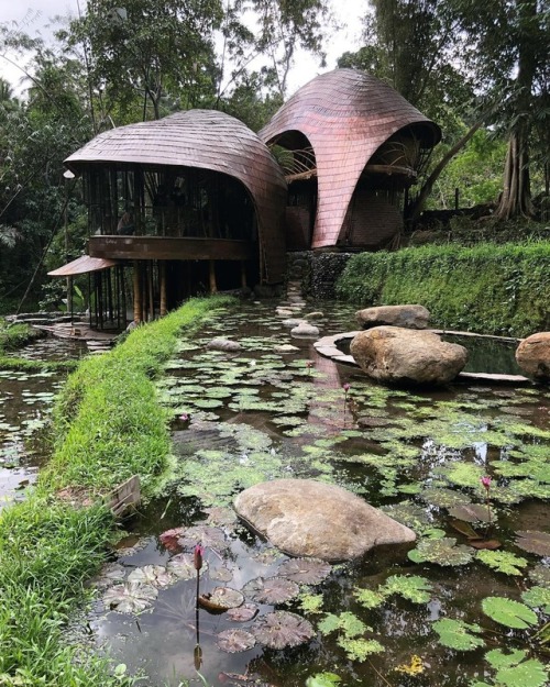 voiceofnature: Bambu Indah sustainable retreat center in Bali.