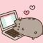 ladyfungisblog