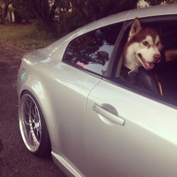 dweniie:  Car rides with mummy! 