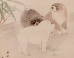 owletstarlet: Puppies (detail) - Maruyama Okyo, c. 1790 Tokyo Fuji Art Museum, currently on exhibition in the Museum of Kyoto. 