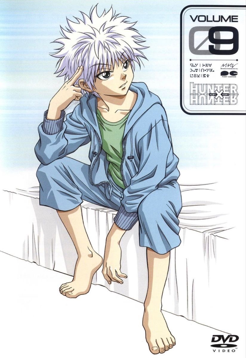 Hunter x Hunter 1999 dvd cover art : r/HunterXHunter