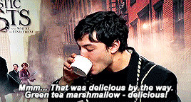 tedystaleva:“Being part of the Harry Potter Universe is like getting into the most pleasant warm bat