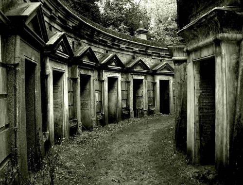 congenitaldisease:Highgate Cemetery was a very popular cemetery in Victorian times, but since then i