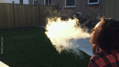 stonerjpeg:  Smoke like a dragon 💨 